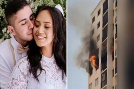 zeygari brazilia