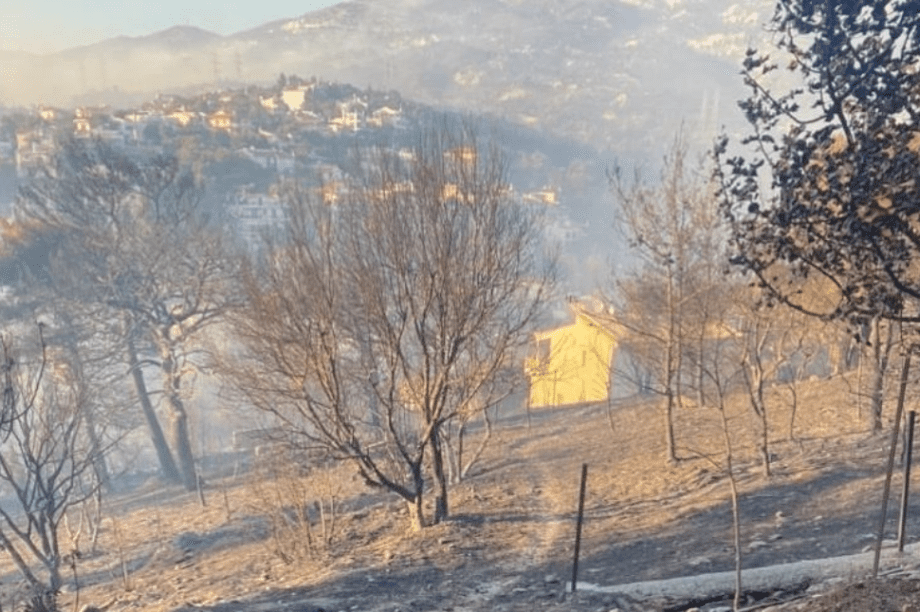 Νεα πεντελη