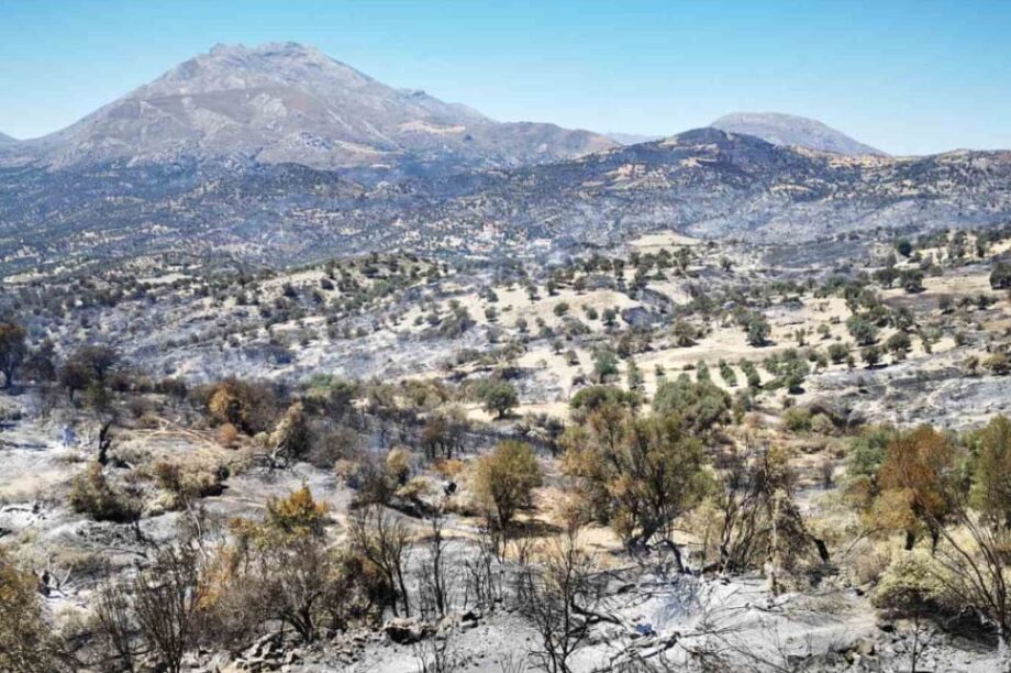 Δημος Αμαριου