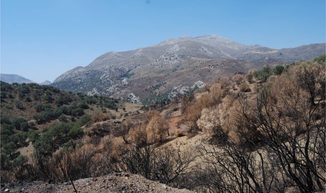 Δήμος Αμαρίου: Αυτοψία κλιμακίου ΣΕΔΗΚ και Ινστιτούτου Ελιάς στις πυρόπληκτες περιοχές