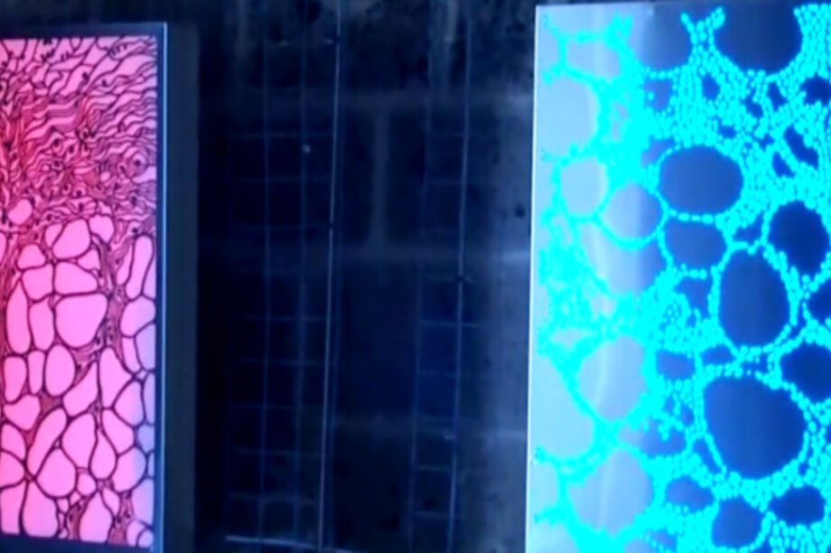 έκθεση γλυπτικής