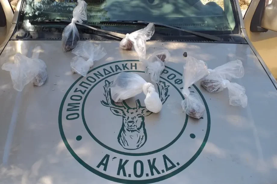 Χανιά: 19 φόλες εντοπίστηκαν στα Κεραμειά