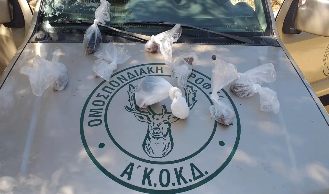 Χανιά: 19 φόλες εντοπίστηκαν στα Κεραμειά
