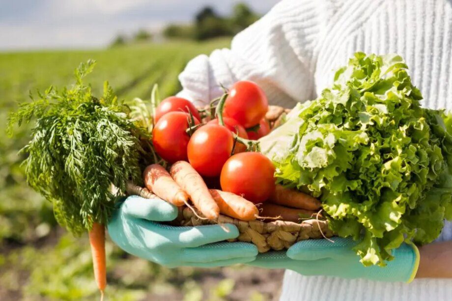 κηπευτικά αγρότες