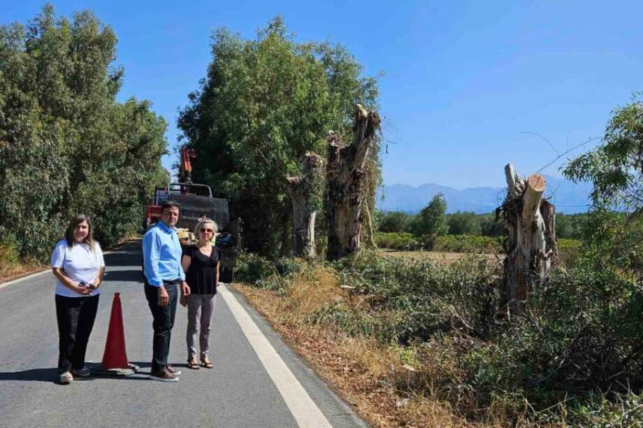 Κλαδοκοπες