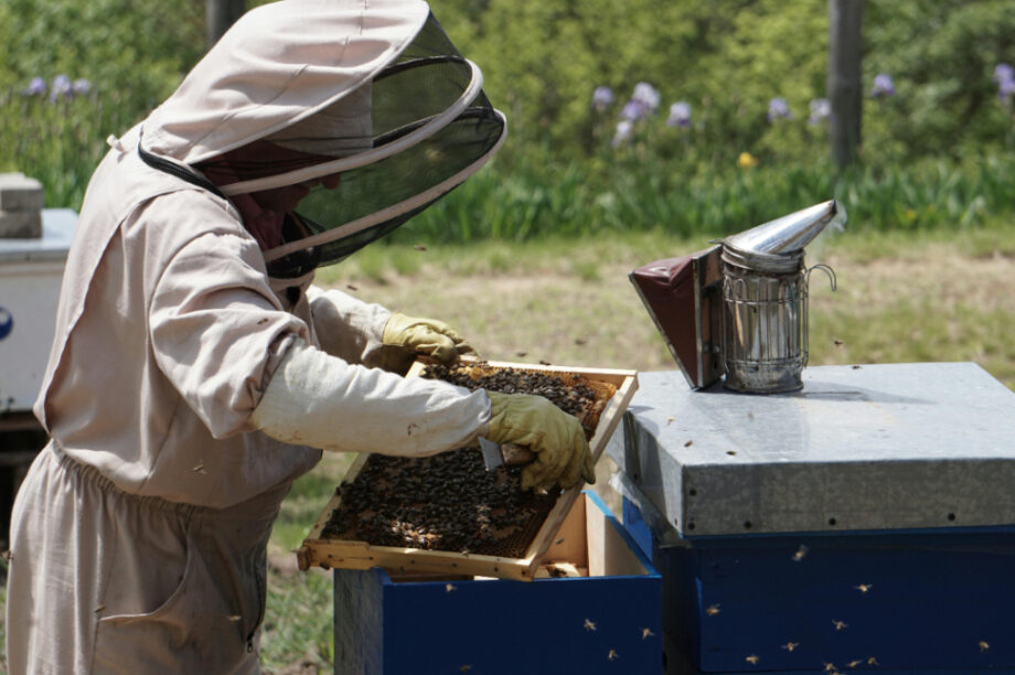 μελισσοκόμος