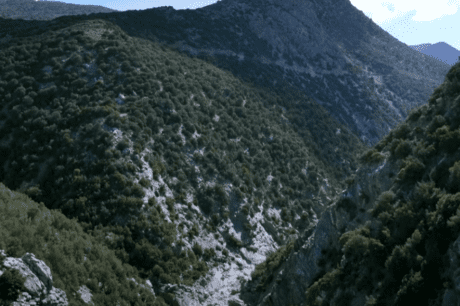 Μεσαρά