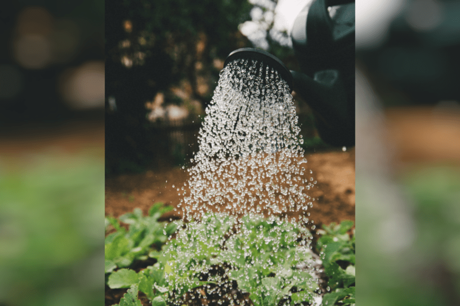 νερό γη καλλιεργεια ποτισμα bek