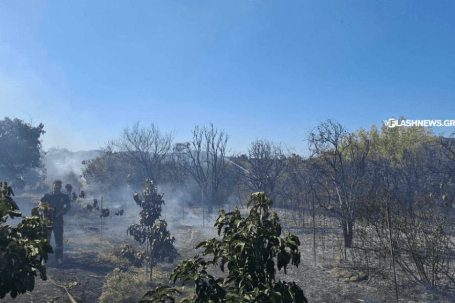 Φωτιά Χανιά