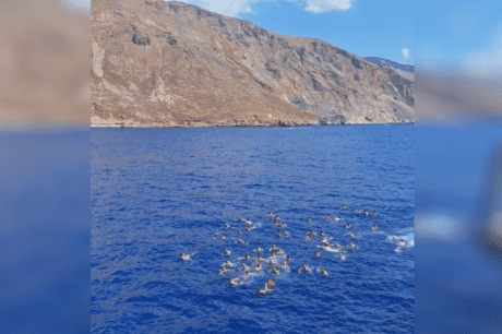 πολεμικό ναυτικό