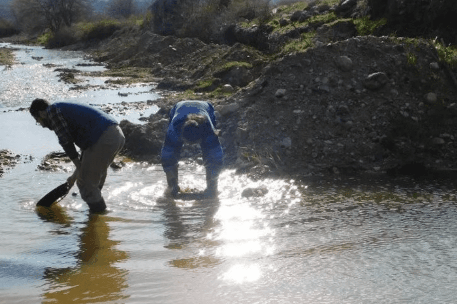 χρυσοθήρες