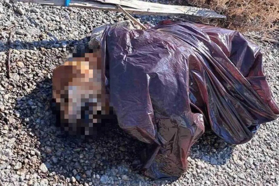 σκύλος Κεραμειά