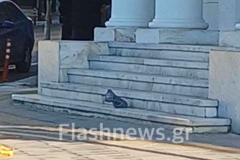 τσάντα Χανιά