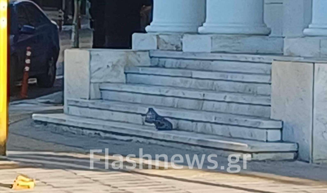 τσάντα Χανιά