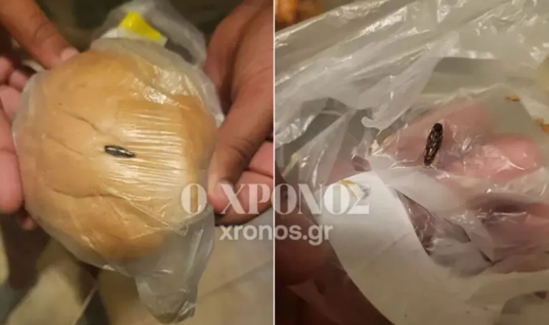 κατσαρίδα