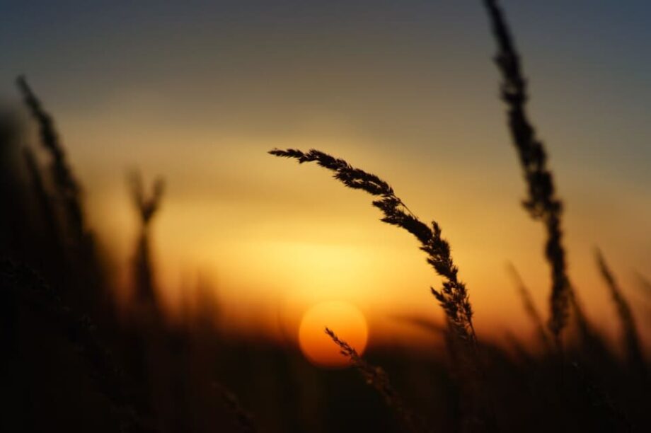 ανατολή ήλιος καιρός ζέστη