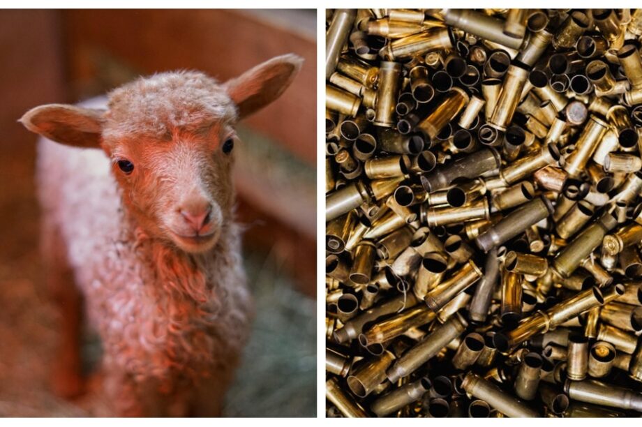 αστυνομικό