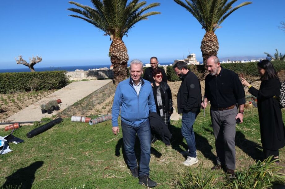 δέντρα Ηράκλειο