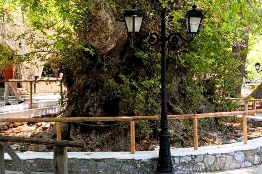 Δήμος Χερσονήσου