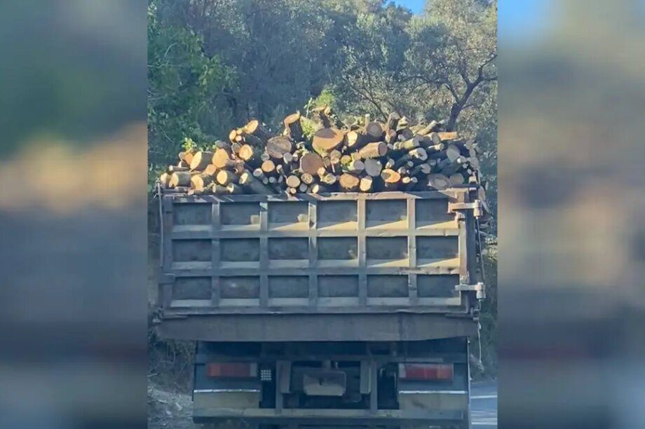 φορτηγο ξύλα