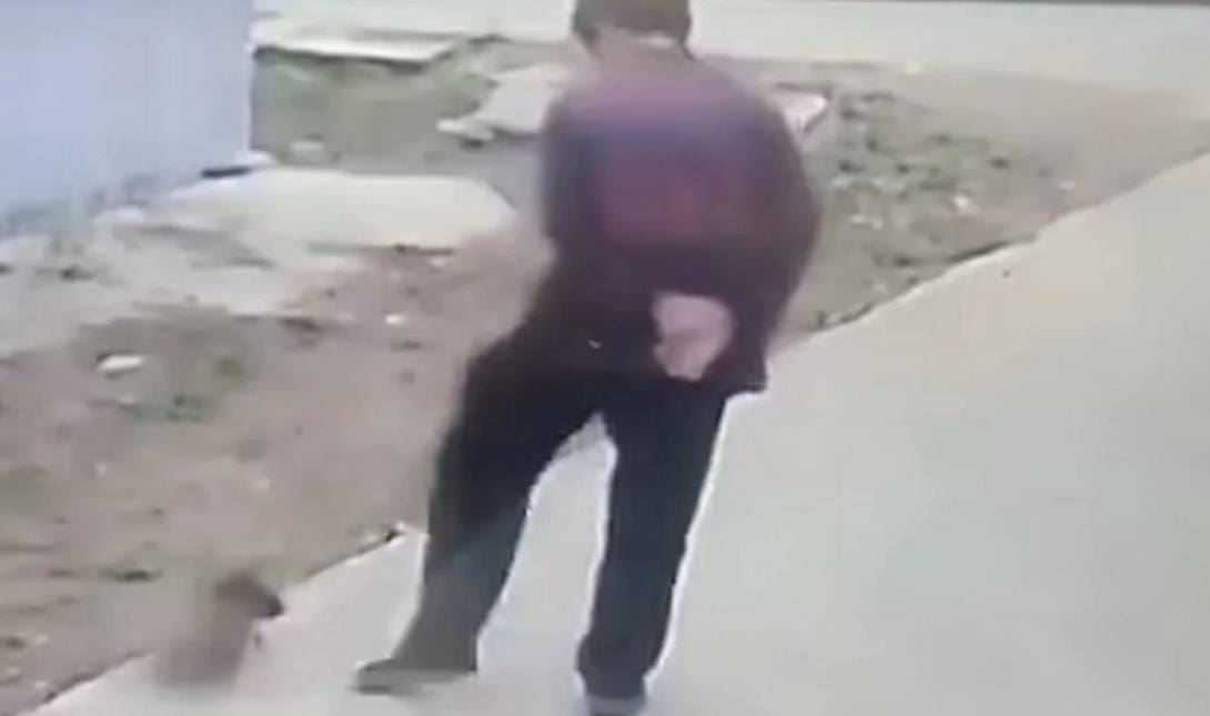 ηλικιωμένη Κίνα