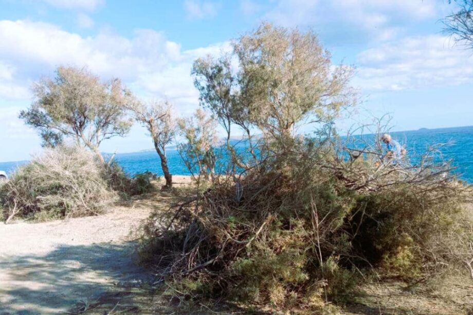 ΔΗΜΟΣ ΧΕΡΣΟΝΗΣΟΥ ΕΡΓΑΣΙΕΣ ΚΑΘΑΡΙΣΜΟΥ