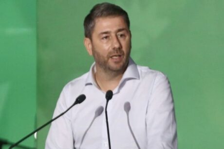 Νίκος Ανδρουλάκης