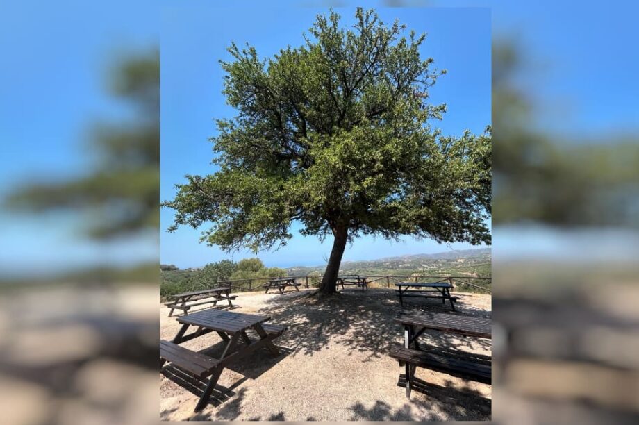 ΠΑΡΚΟ ΑΓΙΟΥ ΓΕΡΑΣΙΜΟΥ ΑΠΟΚΟΡΩΝΑΣ