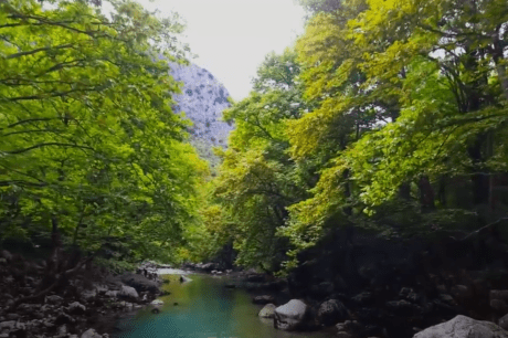 Πηγες Βοιδοματη