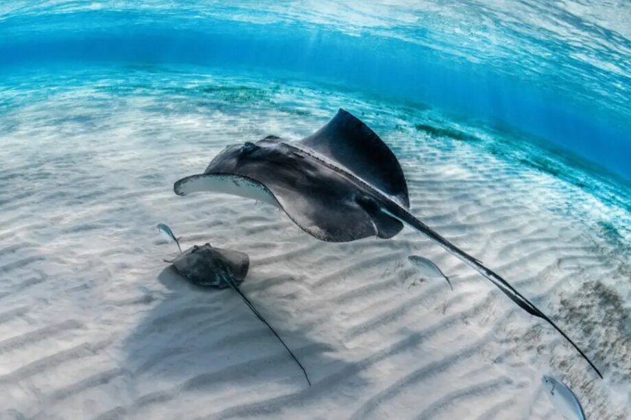 ελληνικές θάλασσες