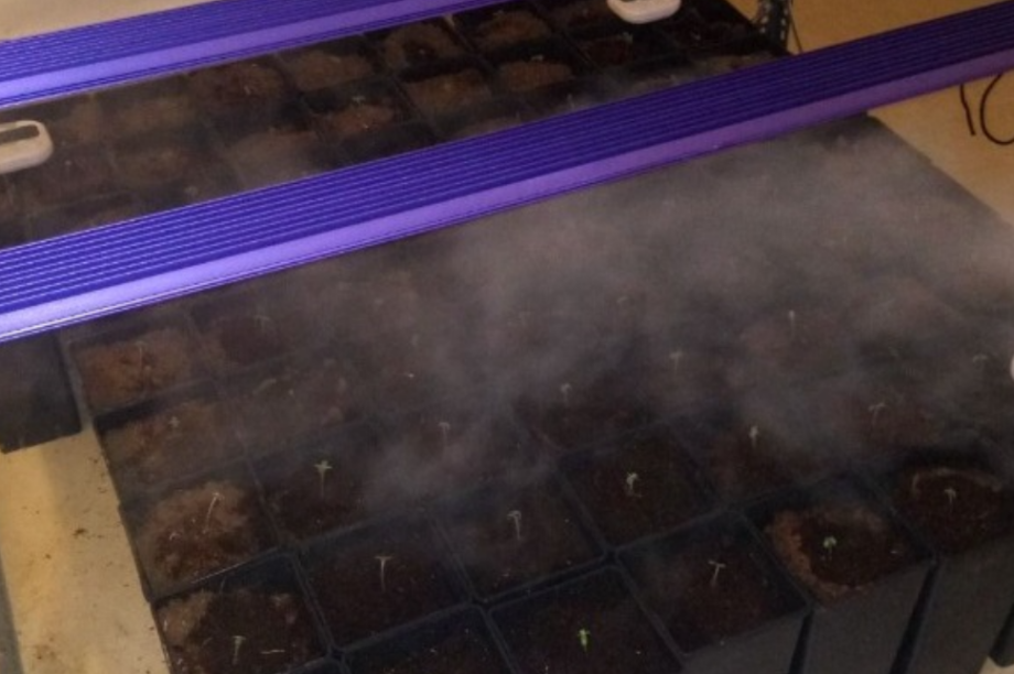 θεσσαλονικη