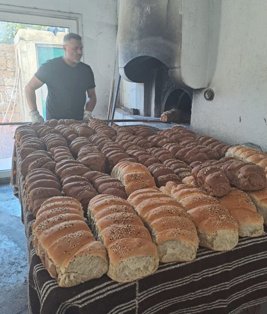 ΦΙΛΑΝΔΟΙ ΛΑΣΙΘΙ