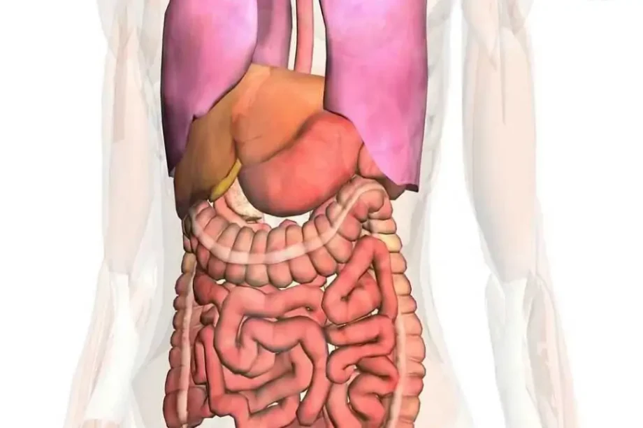 ανθρώπινο σώμα απώλεια βάρους