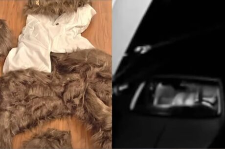 αρκούδες αμάξι