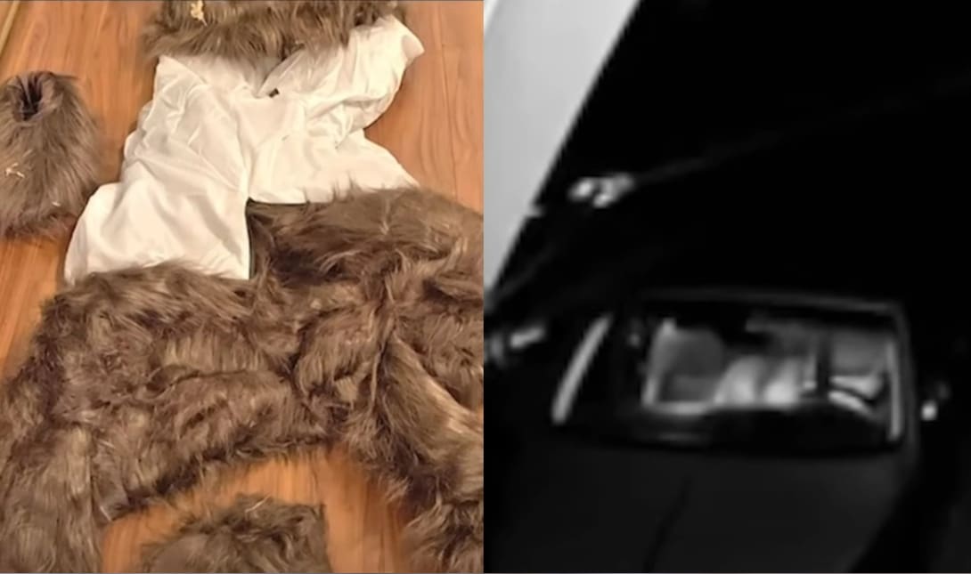 αρκούδες αμάξι