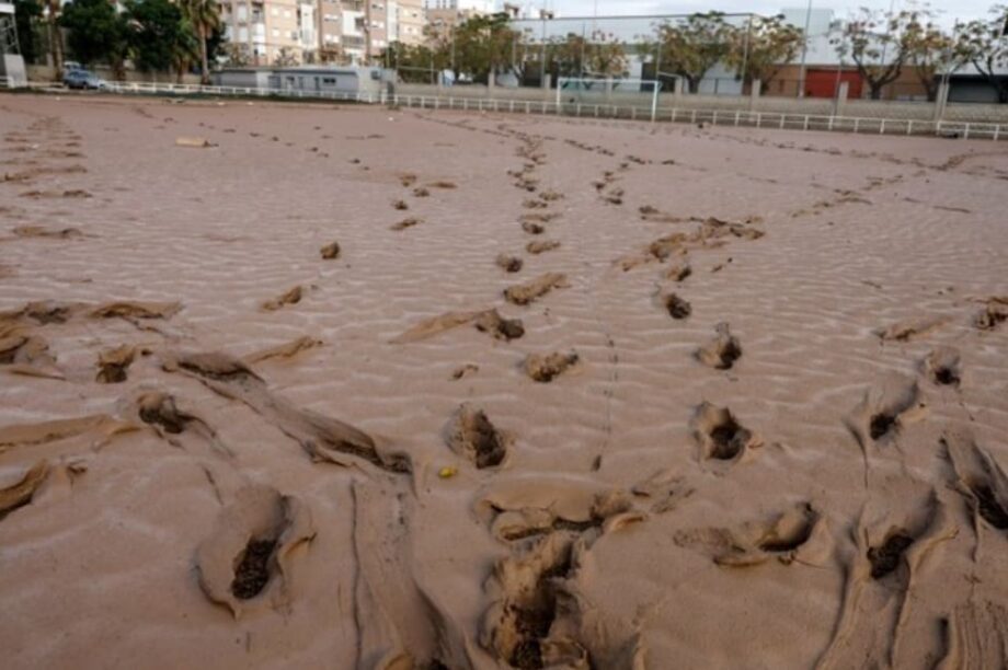 Βαλένθια βασιλιάς