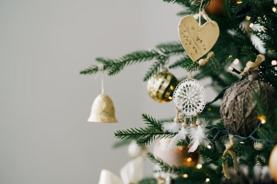 ΧΡΙΣΤΟΥΓΕΝΝΙΑΤΙΚΟ ΔΕΝΤΡΟ