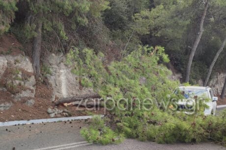 Δέντρο