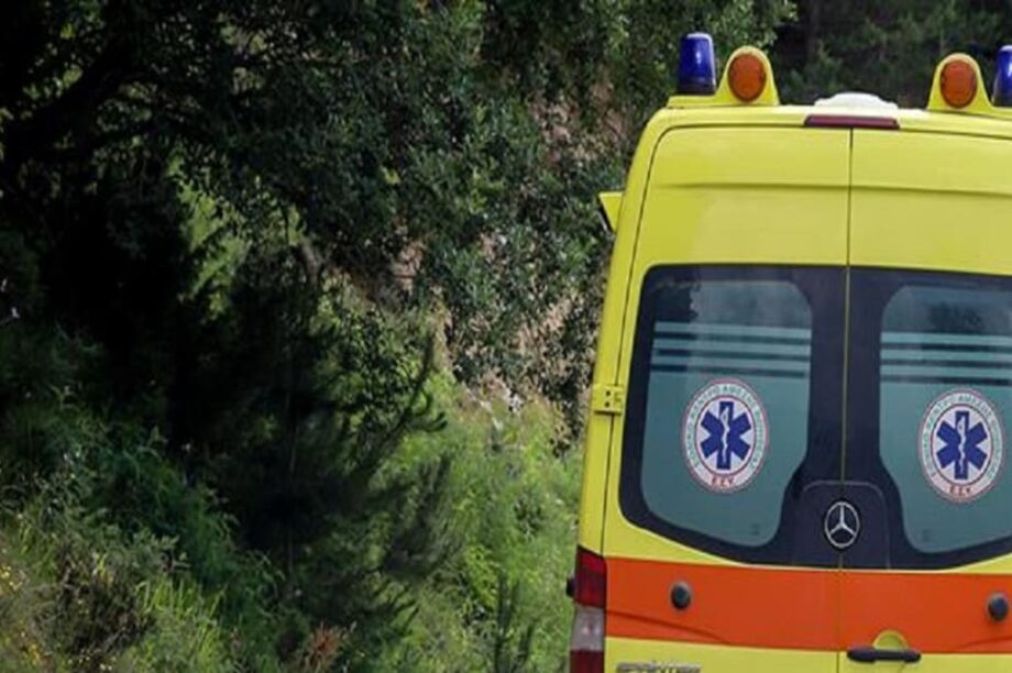 ΕΚΑΒ δάσος νεκρός