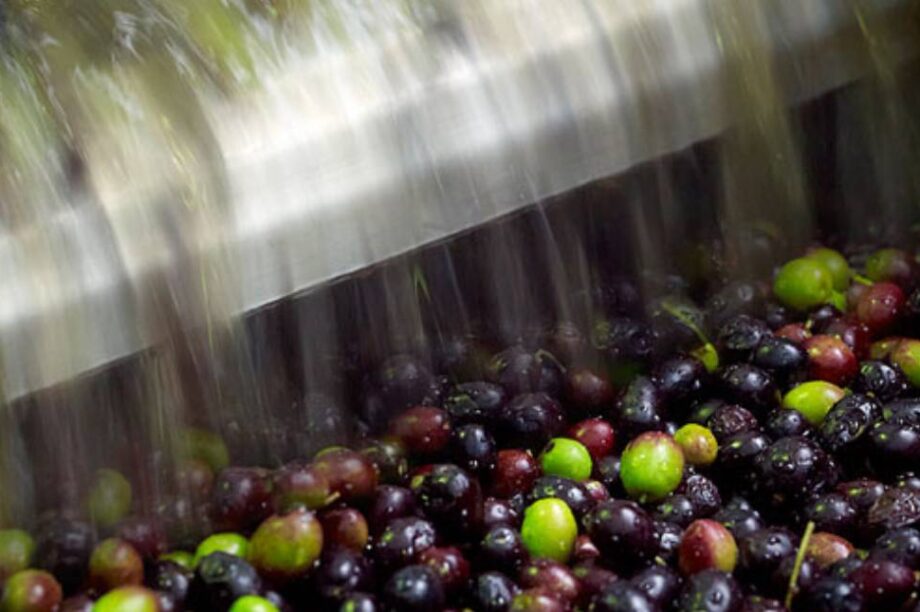 ελαιοτριβείο