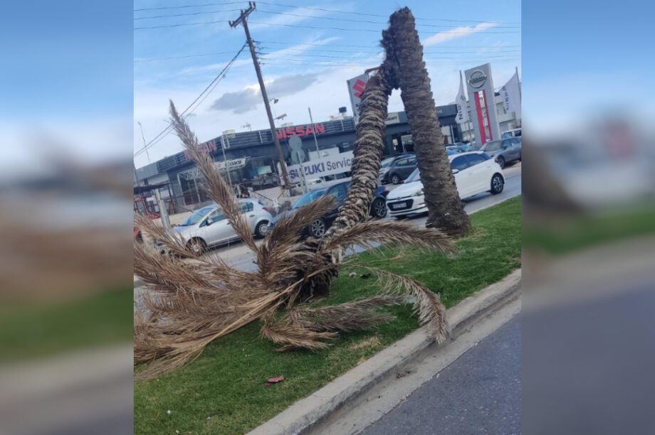 φοίνικας Ηράκλειο