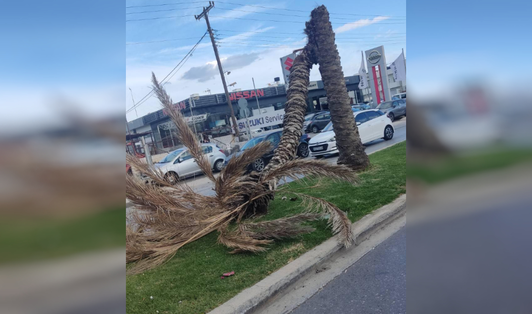 φοίνικας Ηράκλειο