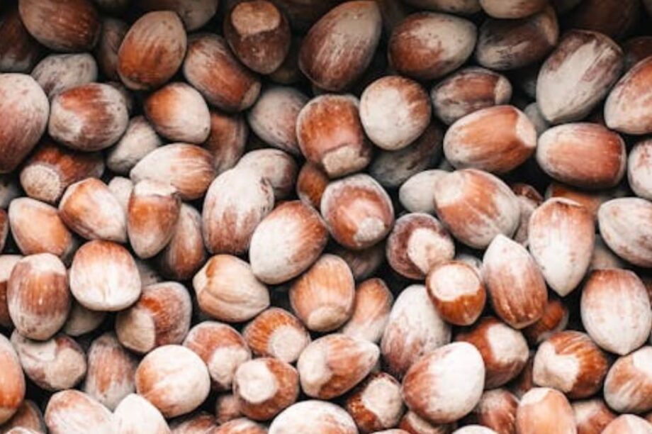 φουντούκια