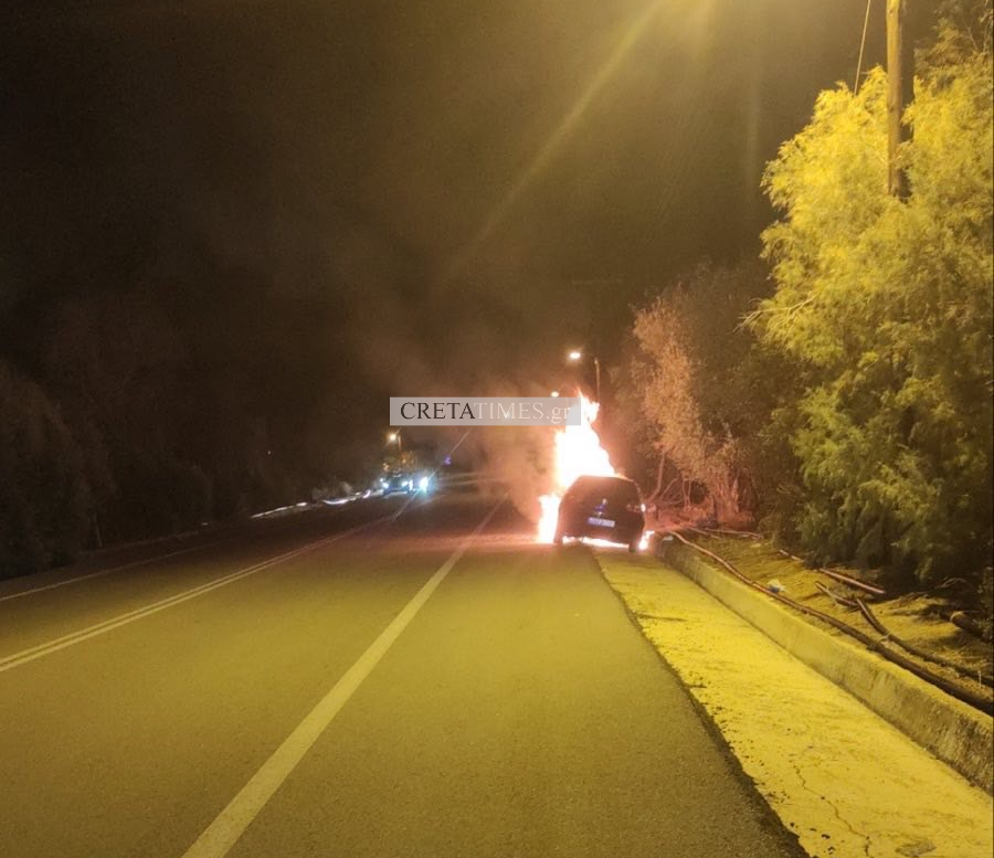 φωτιά ΒΟΑΚ αυτοκίνητο