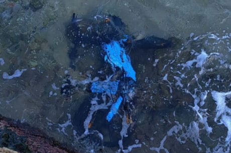 ηλεκτρικό ποδήλατο άγνωστοι