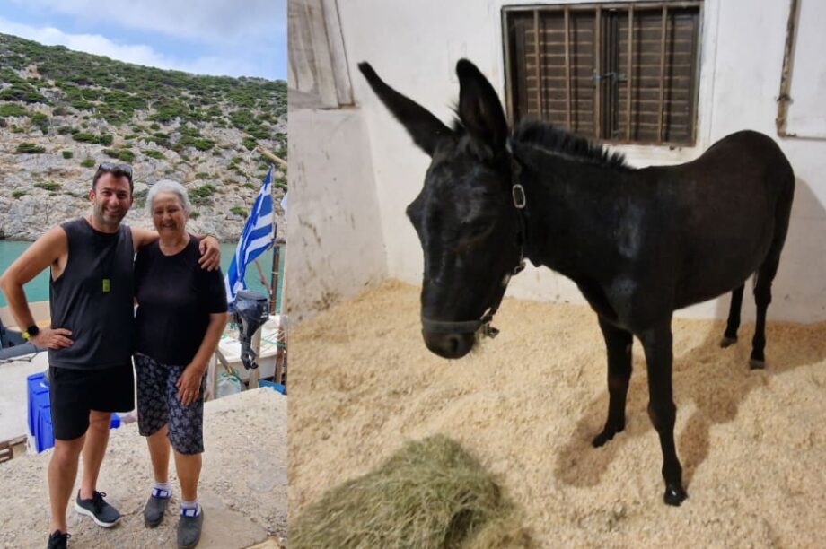 γαϊδαράκος Κίναρος