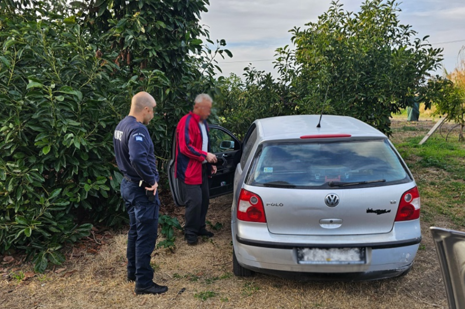 κλοπή αβοκάντο