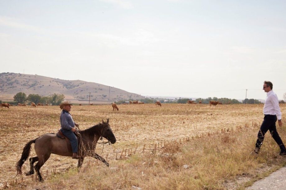 Ντάλτον Μητσοτάκης