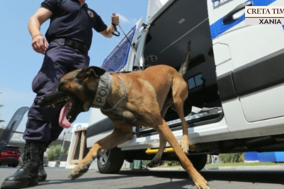 σκύλος αστυνομία Χανιά