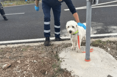 Τροχαίο